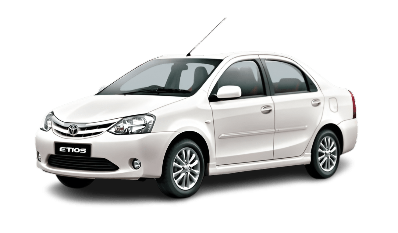 pixelcut-export (8) (1)